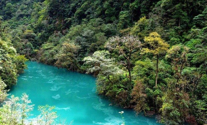 测试你的桃花运