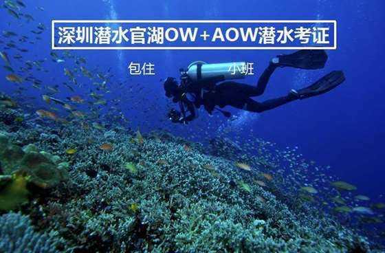 今日大寒｜绝美节气海报已送达！快来收集→
